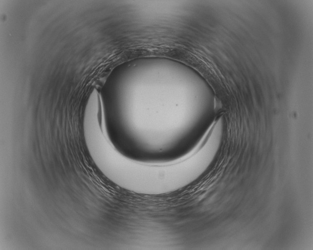 X0000087041298200705091100