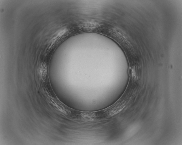 X0000087041299200705091100