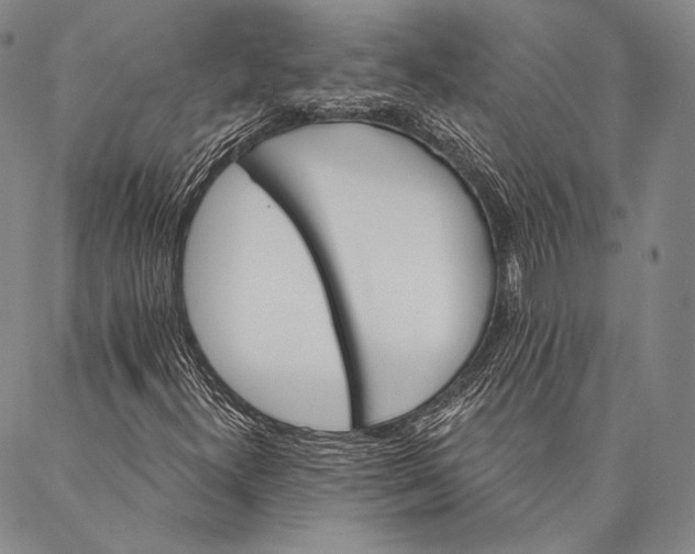 X0000087041300200705091100