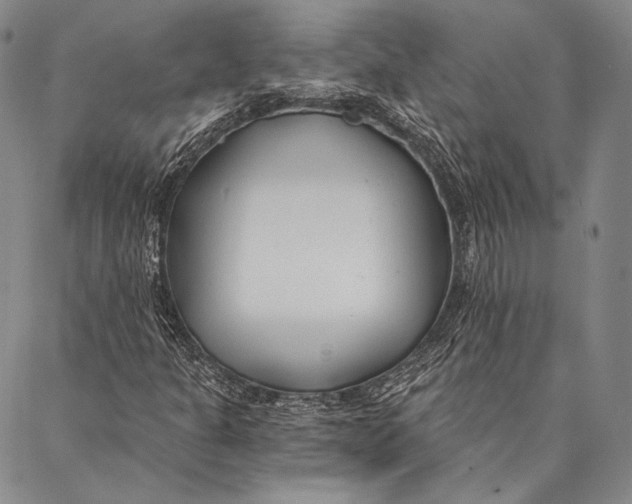 X0000087041301200705091100