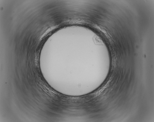 X0000087041306200705091100