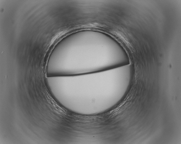 X0000087041308200705091100