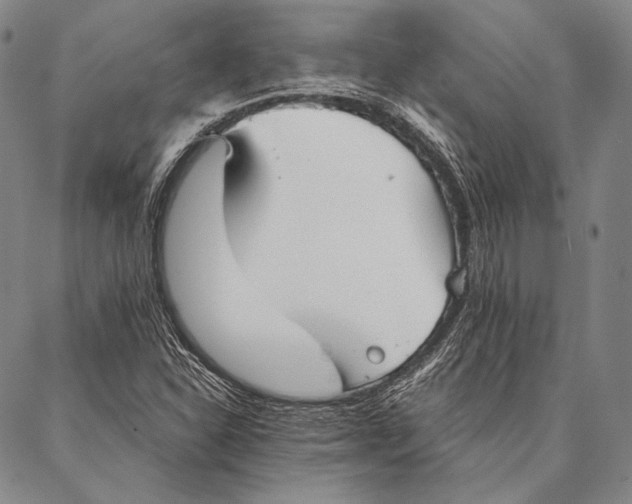 X0000087041310200705091100