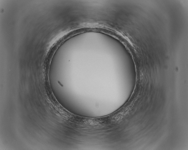 X0000087041311200705091100