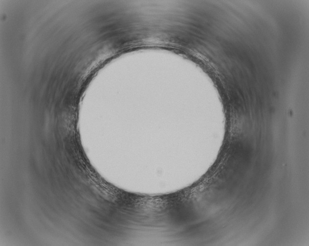 X0000087041314200705091101