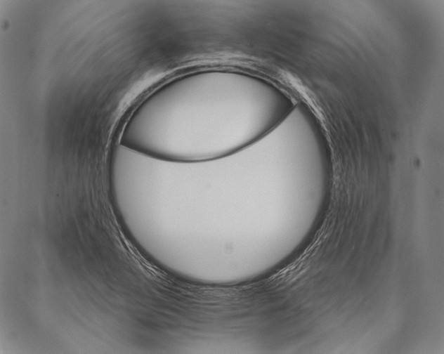 X0000087041320200705091101