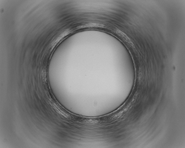 X0000087041321200705091101