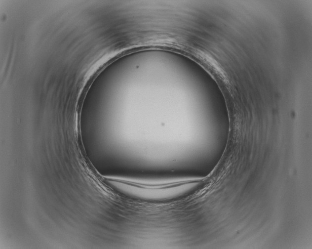 X0000087041324200705091101