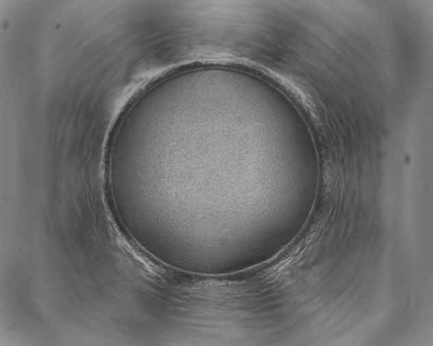 X0000087041327200705091101
