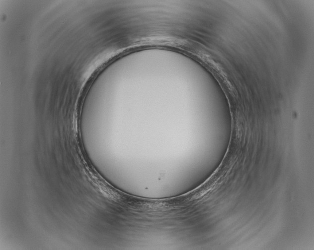 X0000087041328200705091101