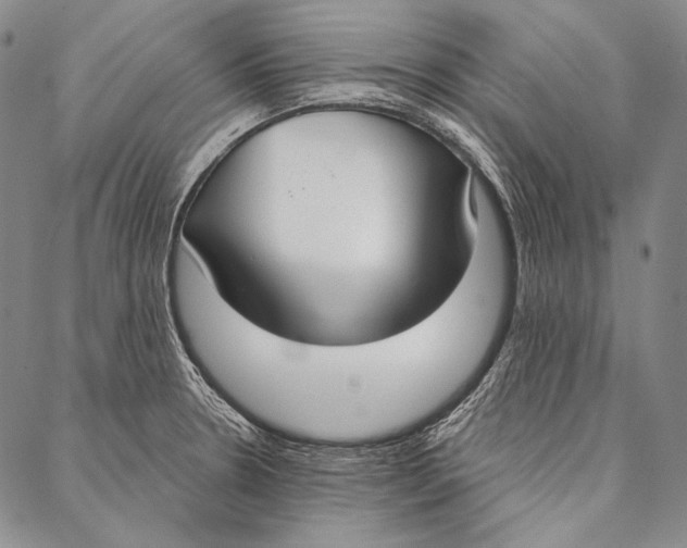 X0000087041330200705091101