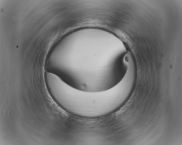 X0000087041334200705091101