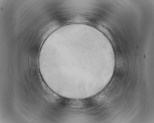X0000087041338200705091101