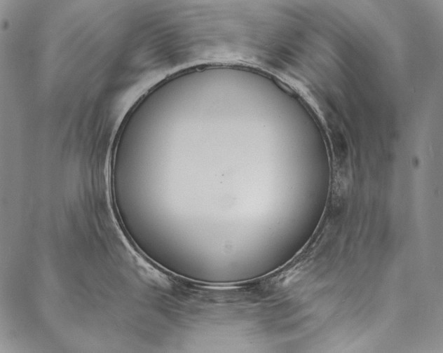 X0000087041343200705091101
