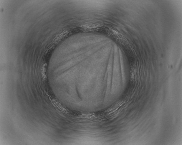 X0000087041346200705091100