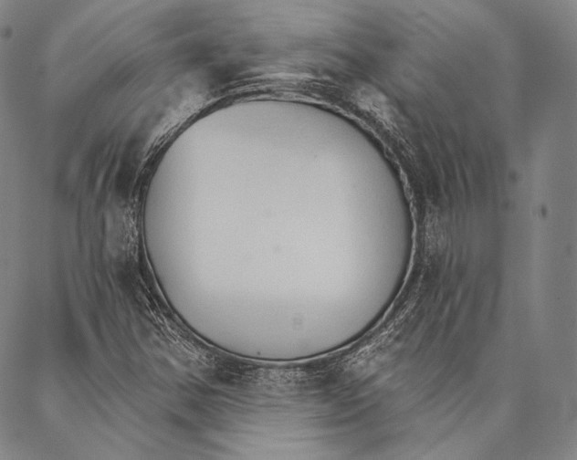X0000087041354200705091100