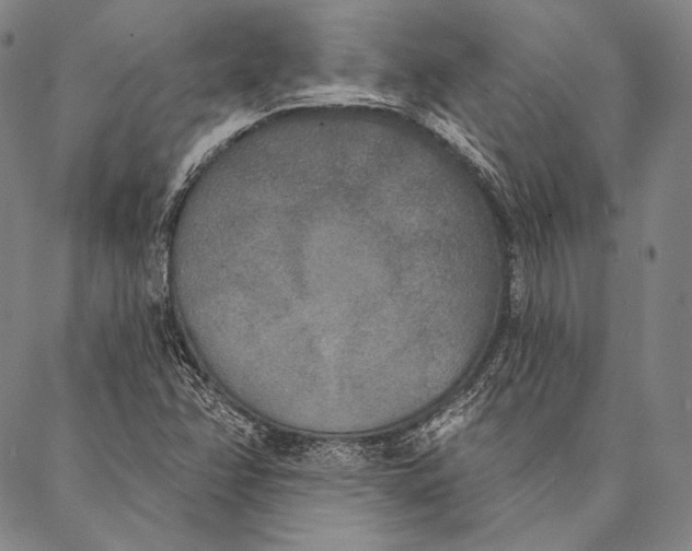 X0000087041358200705091100