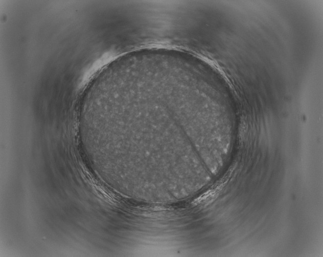 X0000087041359200705091100