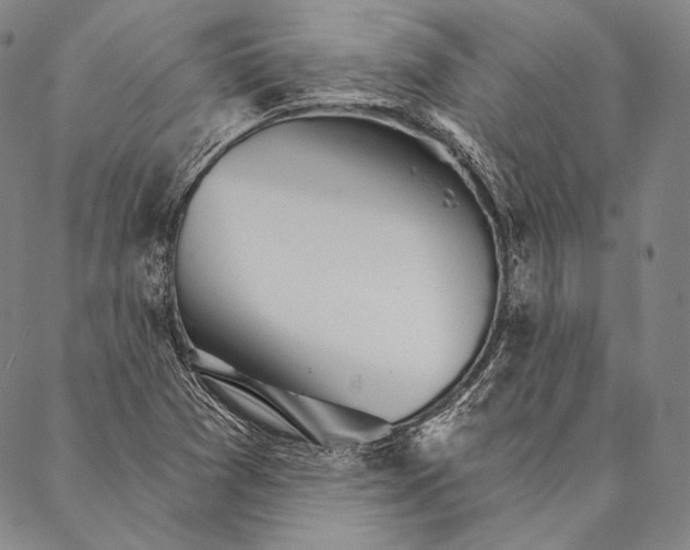 X0000087041361200705091100