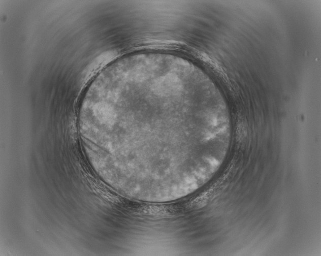 X0000087041362200705091100