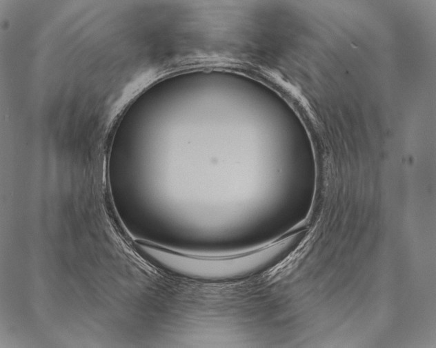 X0000087041365200705091100