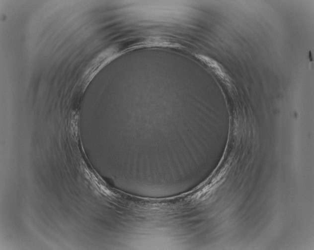 X0000087041369200705091100