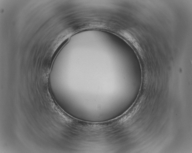 X0000087041377200705091059