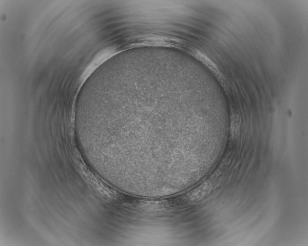 X0000087041378200705091059