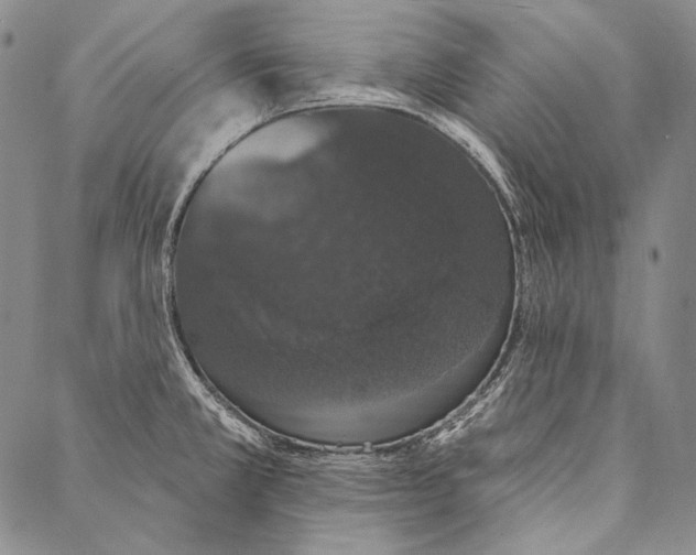 X0000087041381200705091059