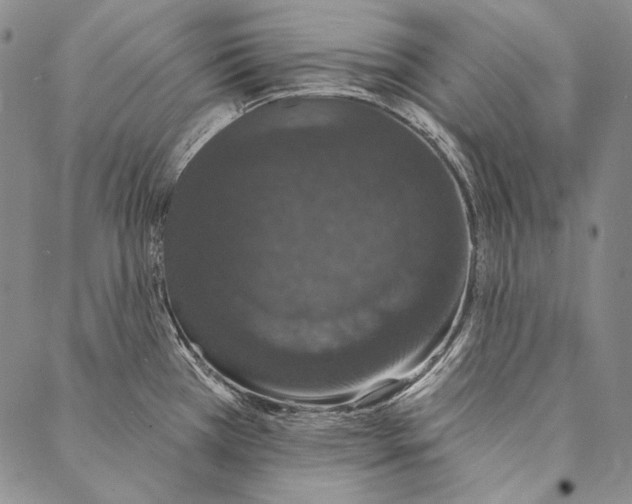 X0000087041385200705091059