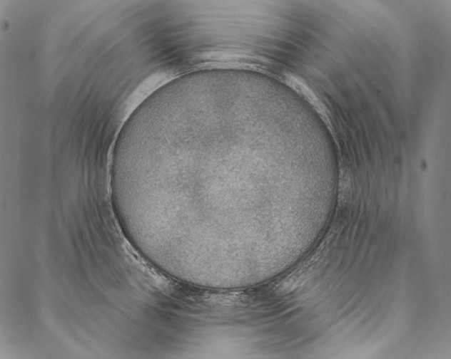 X0000087041386200705091059