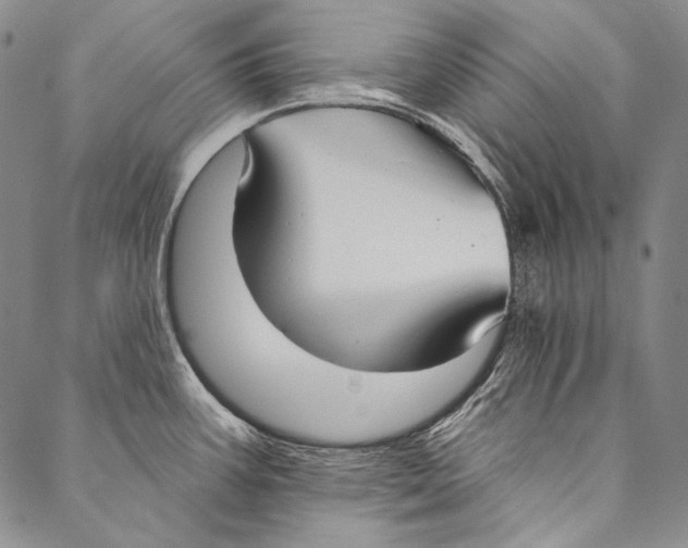 X0000087041387200705091059