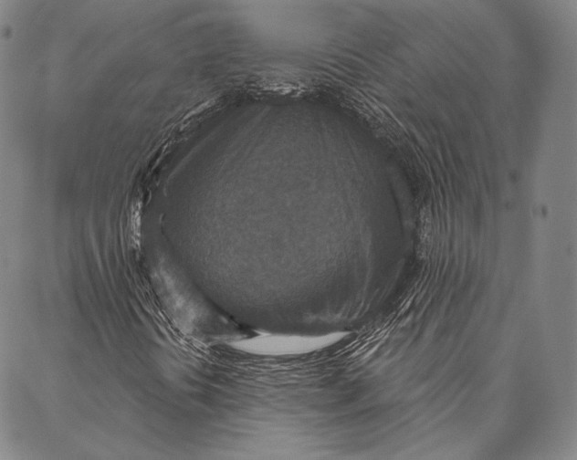 X0000087041394200705091058