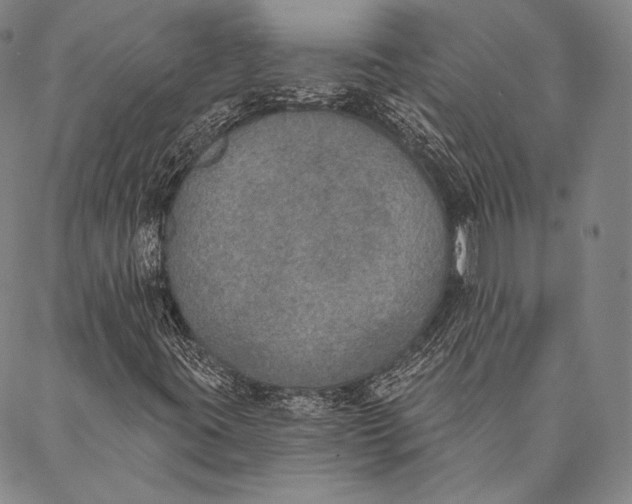 X0000087041395200705091058