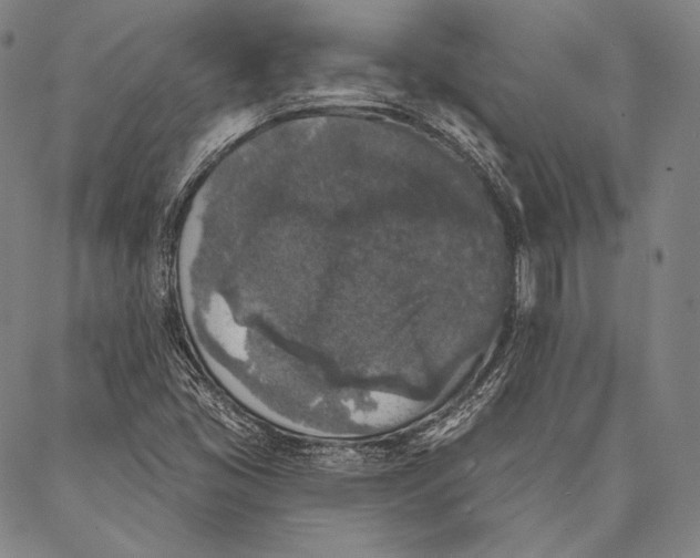X0000087041405200705091059
