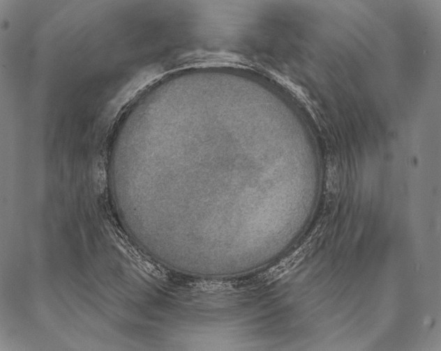 X0000087041407200705091059