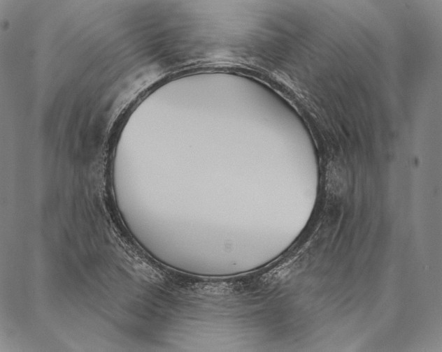 X0000087041410200705091059