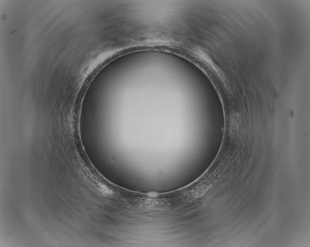 X0000087041412200705091059