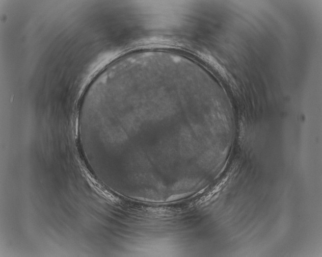 X0000087041413200705091059