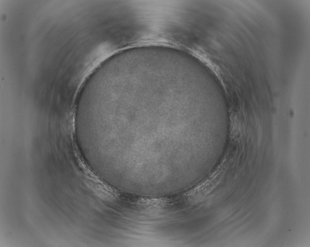 X0000087041415200705091059