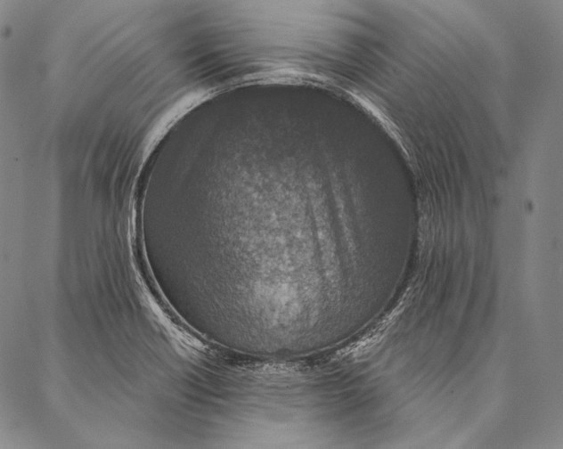 X0000087041418200705091059