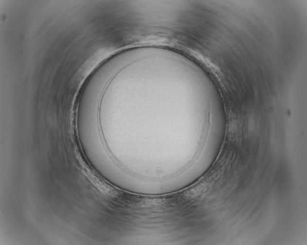 X0000087041423200705091059