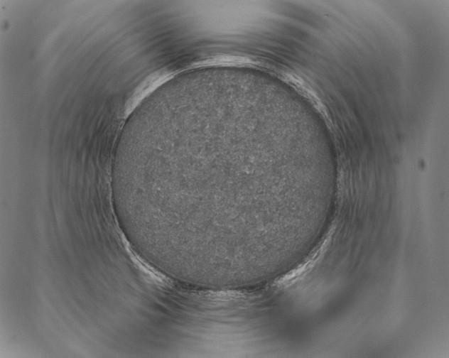 X0000087041425200705091059