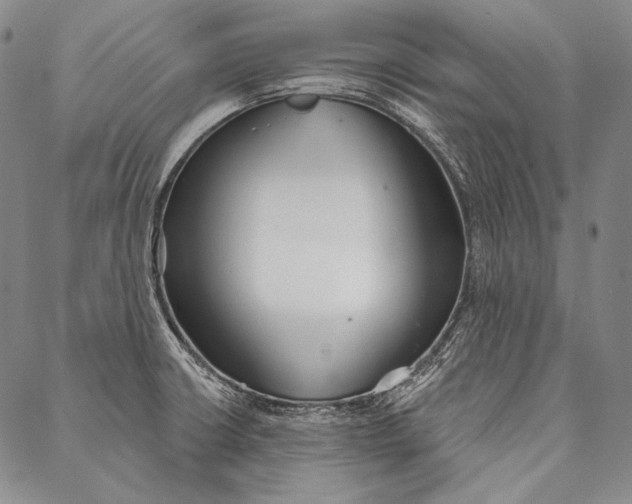 X0000087041426200705091059
