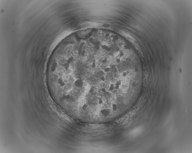 X0000087041427200705091059