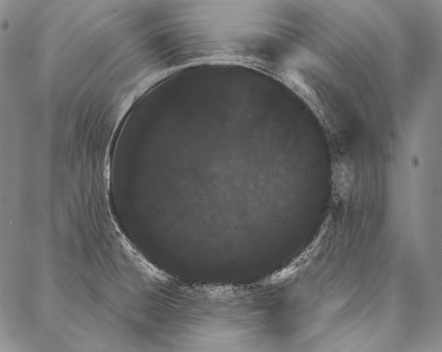 X0000087041428200705091059