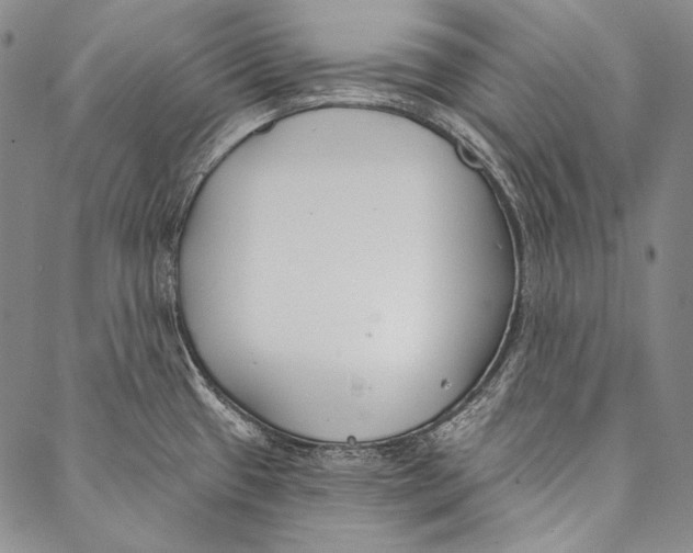 X0000087041433200705091059