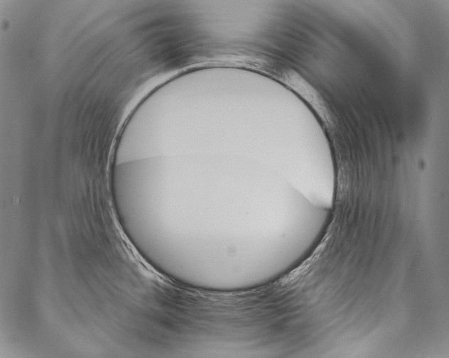 X0000087041436200705091059