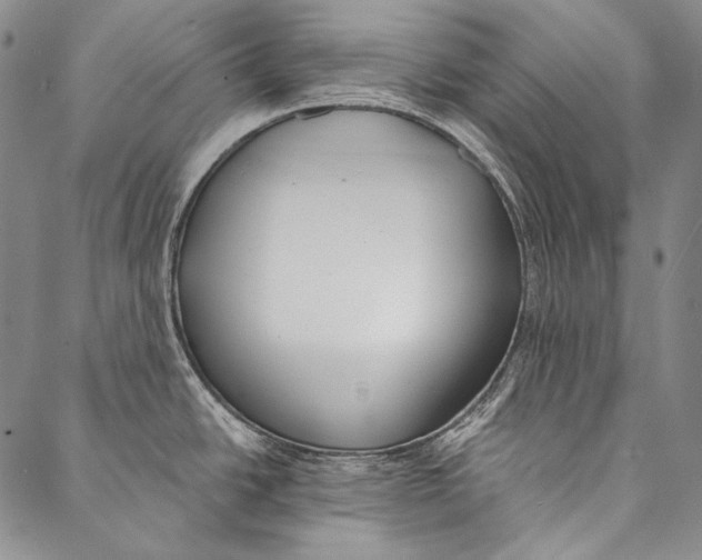 X0000087041438200705091059