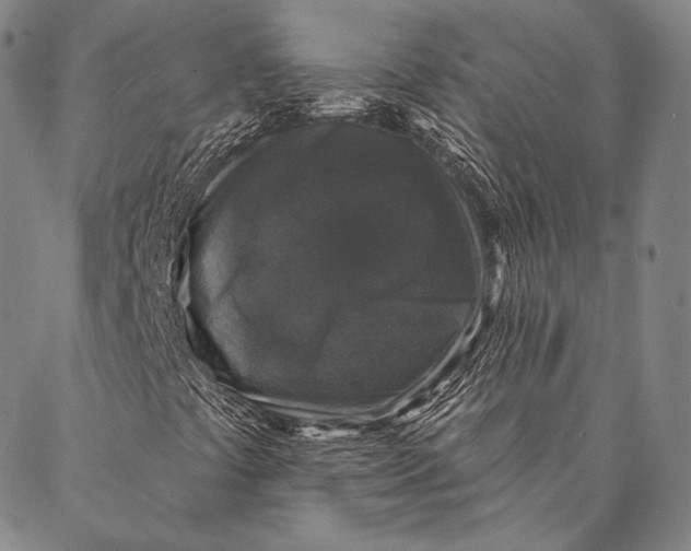 X0000087041441200705091058